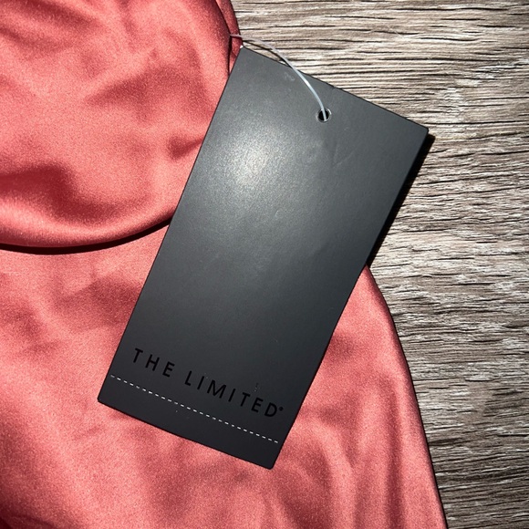 NWT The Limited Terracotta Satin Maxi Skirt Small - Picture 3 of 4